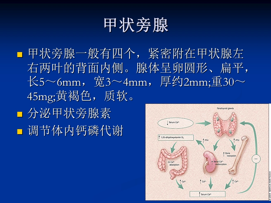 甲状旁腺功能亢进症七年制PPT.ppt_第2页