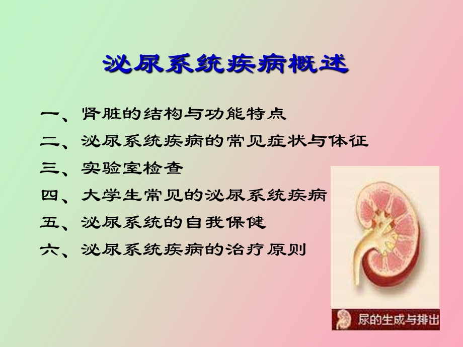 现代医学导论泌尿系统.ppt_第3页