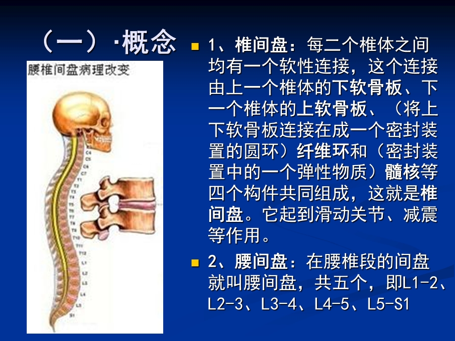 腰间盘突出症的康复治疗.ppt_第3页