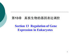 真核生物的基因表达调控.ppt