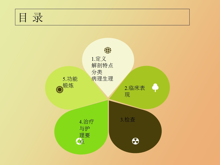 腰椎管狭窄症病人的护理金琪.ppt_第2页