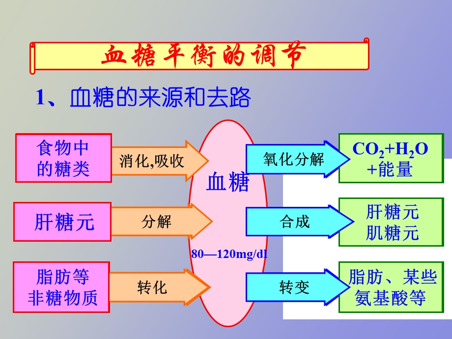 胰岛素与胰高血糖素.ppt_第2页