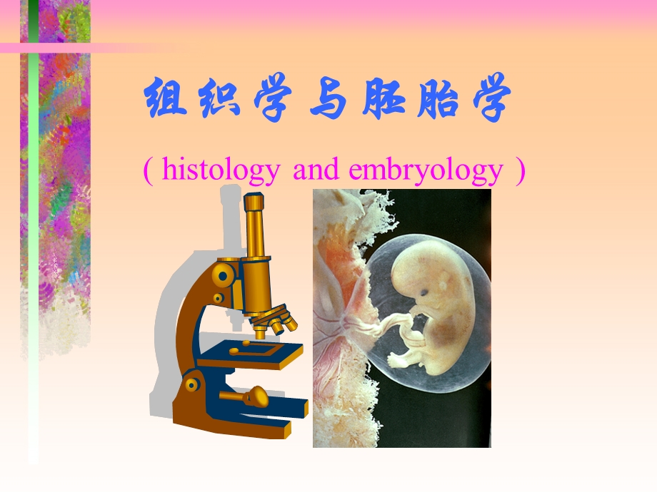 组织学与胚胎学histologyandembryology.ppt_第1页