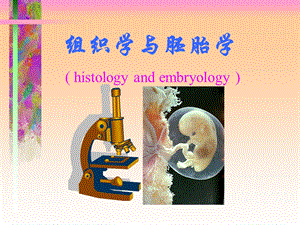 组织学与胚胎学histologyandembryology.ppt