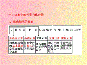 细胞中的元素和化合物细胞中的无机物.ppt