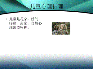 晏园生袁乐超.ppt