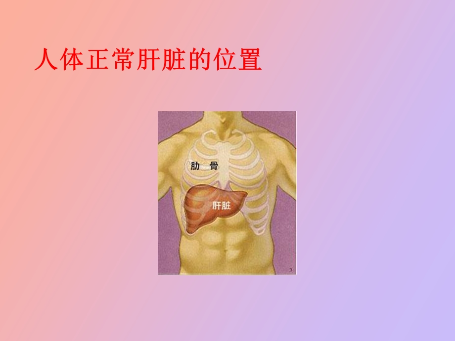 脂肪肝健康教育.ppt_第3页