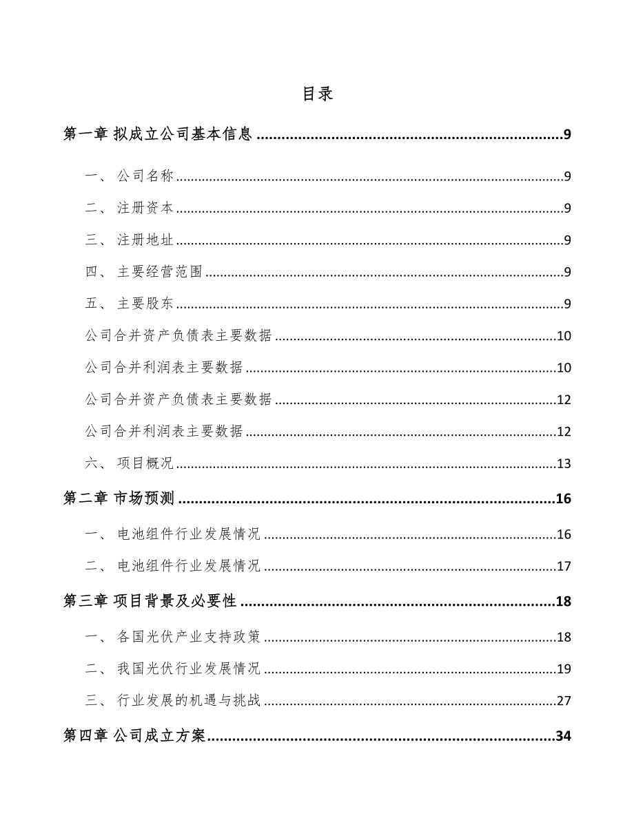 唐山关于成立硅基光伏组件公司可行性研究报告.docx_第2页