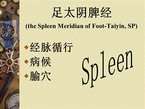 足太阴脾经theSpleenMeridianofFootTaiyinSP.ppt