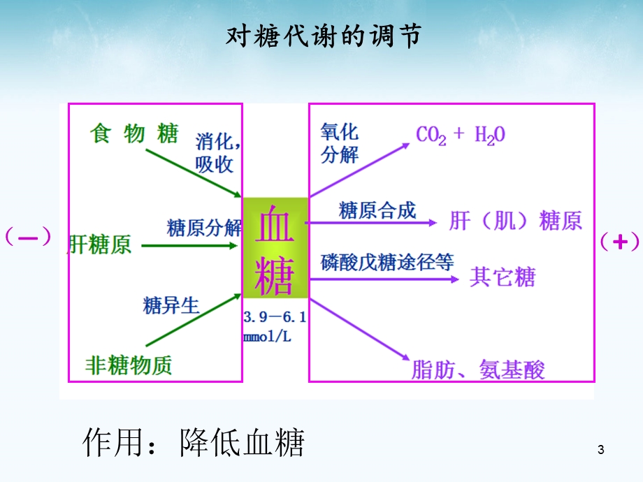 胰岛素的代谢调节.ppt_第3页