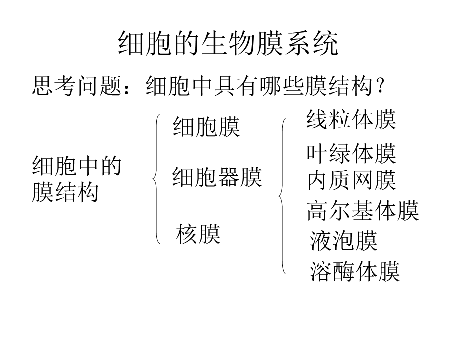 细胞的类型和结构三.ppt_第2页