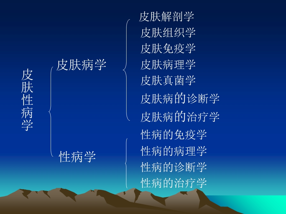 皮肤的结构与功能.ppt_第2页