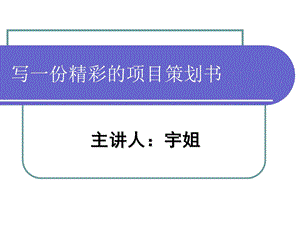 怎样写一份精彩的策划书.ppt