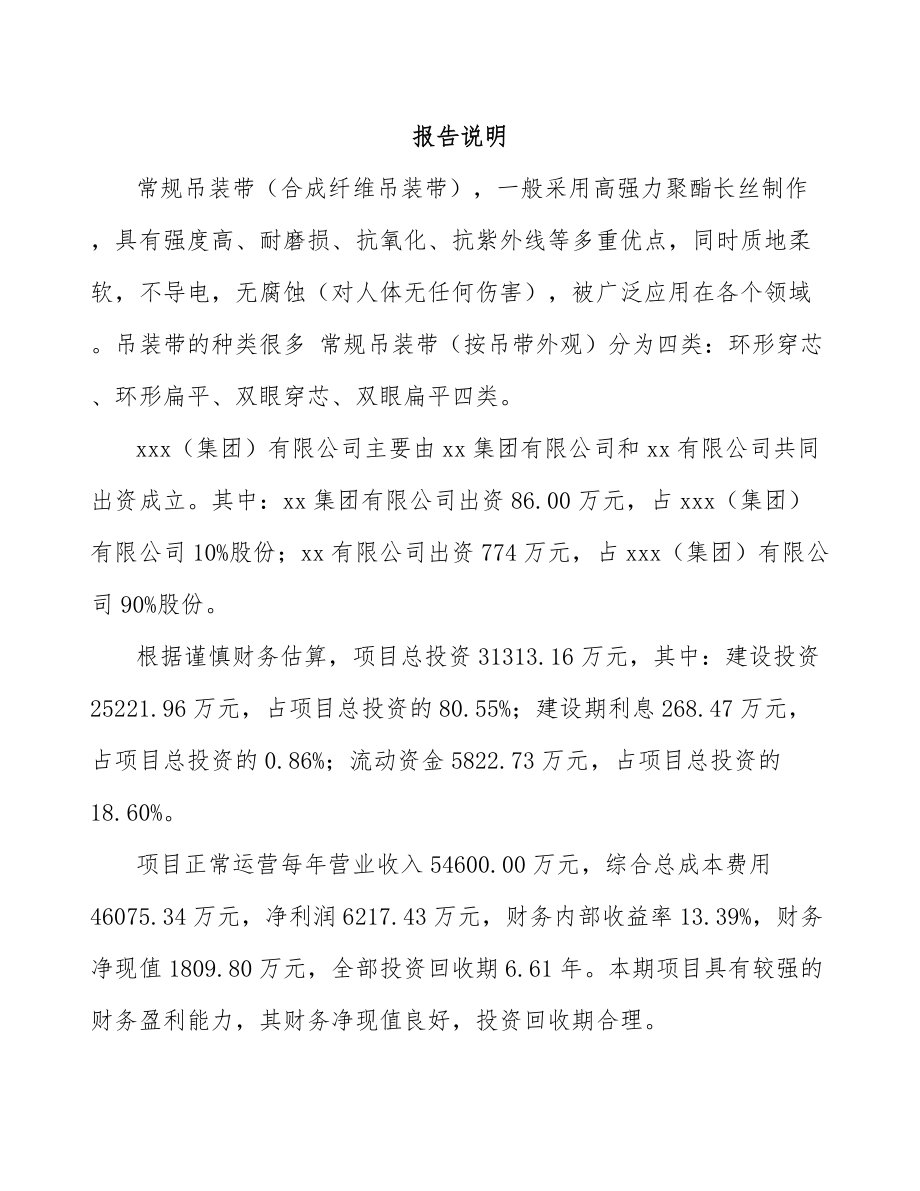 唐山关于成立吊装带公司可行性研究报告参考范文.docx_第2页