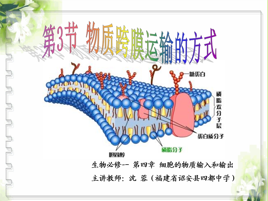 物质跨膜运输的方式sr.ppt_第1页