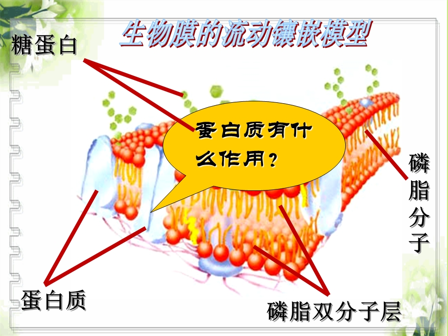 物质跨膜运输的方式sr.ppt_第2页