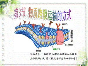 物质跨膜运输的方式sr.ppt