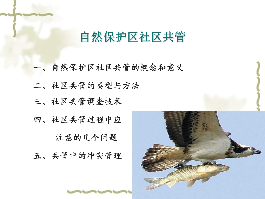 自然保护区社区共管管理.ppt_第2页