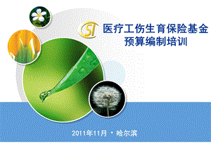 职工医疗工伤生育保险基金预算培训.ppt