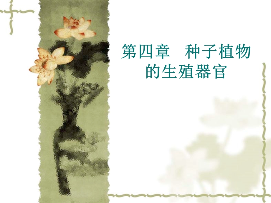 种子植物的生殖器官.ppt_第1页