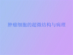 肿瘤细胞的超微结构.ppt