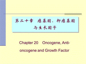 癌基因、抑癌基因与生长因子.ppt