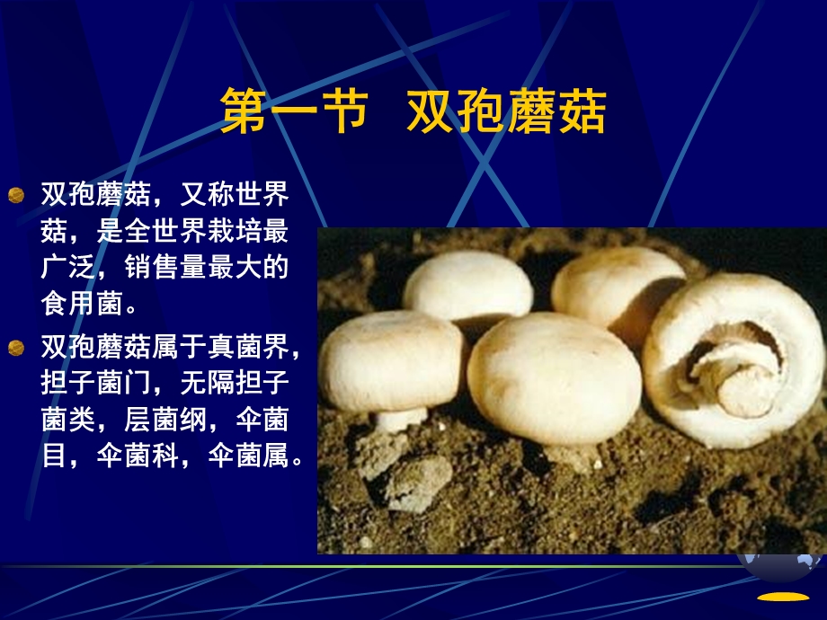 草腐型食用菌的栽培.ppt_第2页