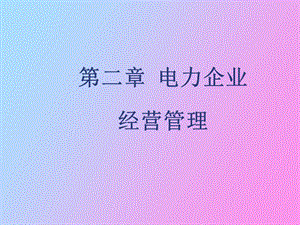 现代电力企业管理第二章.ppt