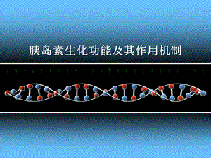 胰岛素生化功能及作用机制.ppt