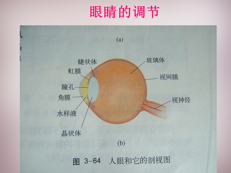 物理上册3.7眼睛与光学仪器课件粤教沪版.ppt_第3页