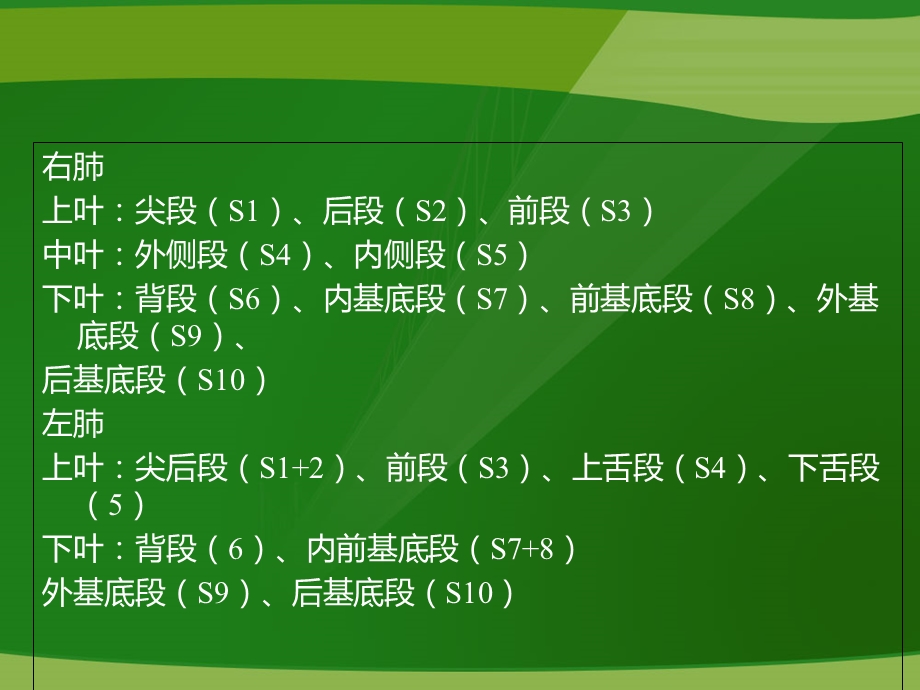 肺段CT彩色-解剖图.ppt_第3页