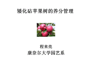 矮化砧苹果树的养分管理.ppt