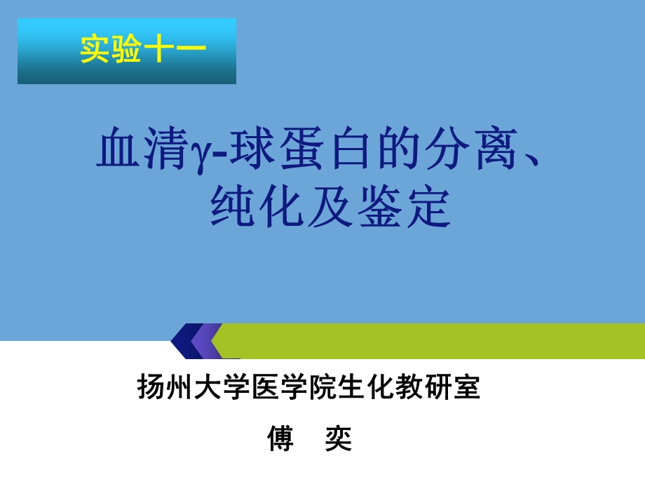 球蛋白的分离纯化与鉴定.ppt_第1页