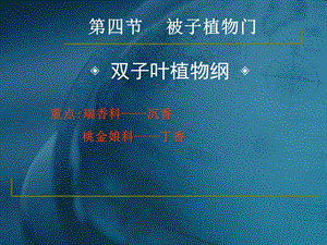 药用植物学与生药学-24瑞香科、桃金娘科资料.ppt