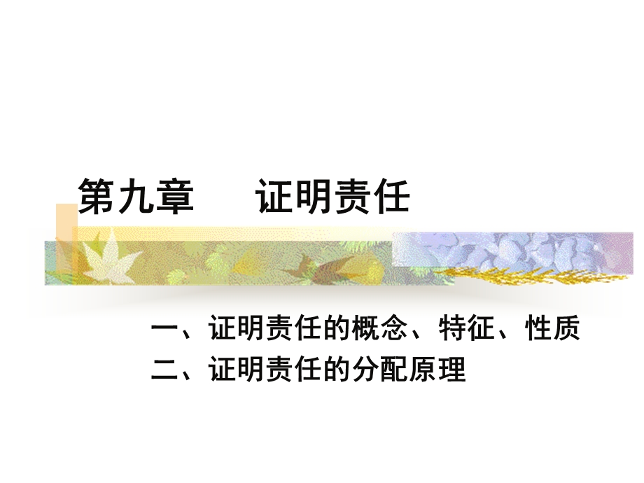 证明责任.ppt_第1页