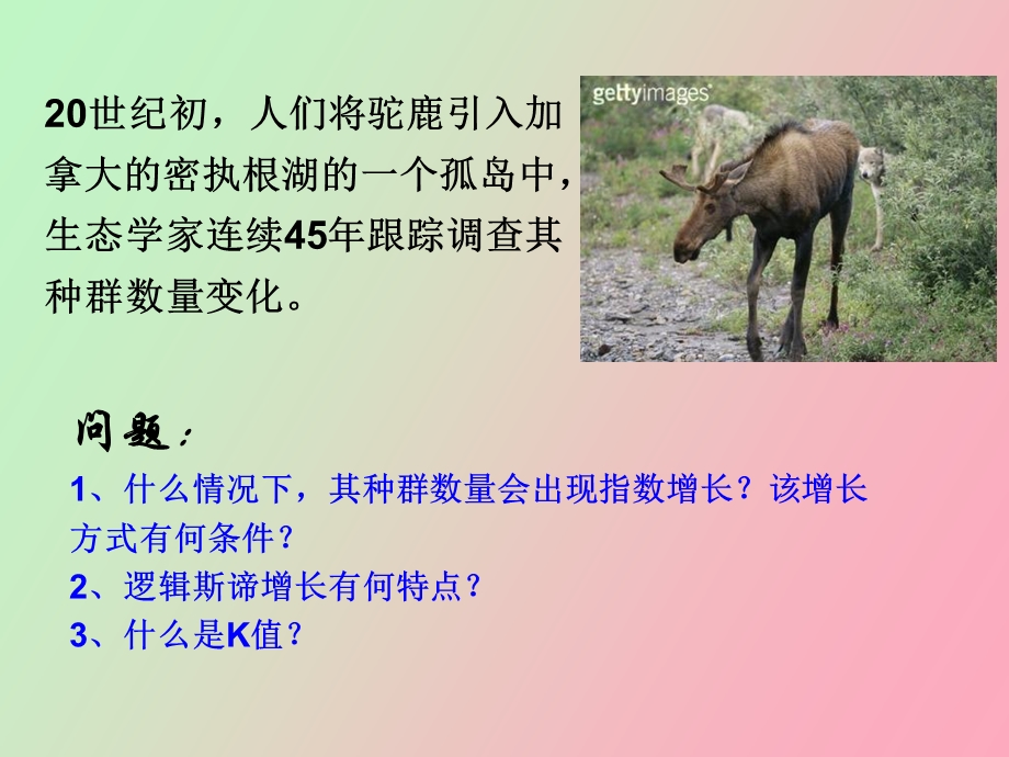 种群的数量波动及调节.ppt_第2页