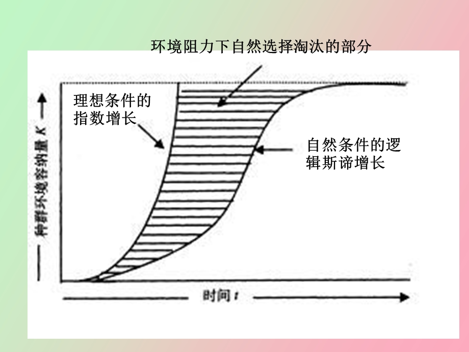 种群的数量波动及调节.ppt_第3页