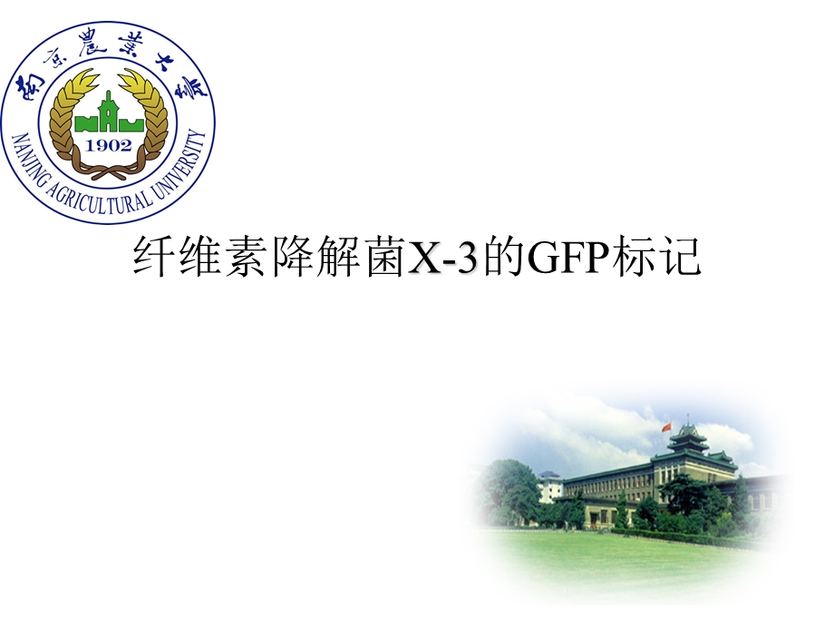 荧光蛋白gfp标.ppt_第1页