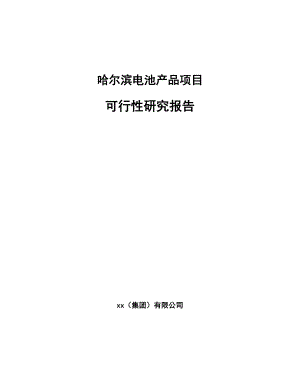 哈尔滨电池产品项目可行性研究报告.docx