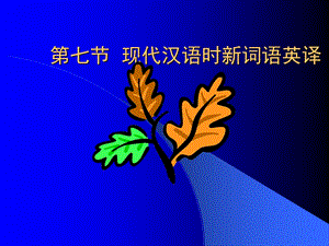 现代汉语时新词语英译.ppt