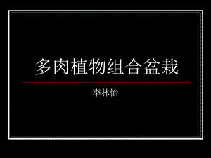 肉植物组合盆栽.ppt