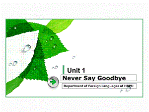 综合英语教程Unit1 Never Say Goodby.ppt