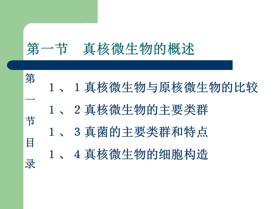 真核微生物已修改.ppt_第3页