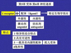 神经生物学神经递质和受体.ppt