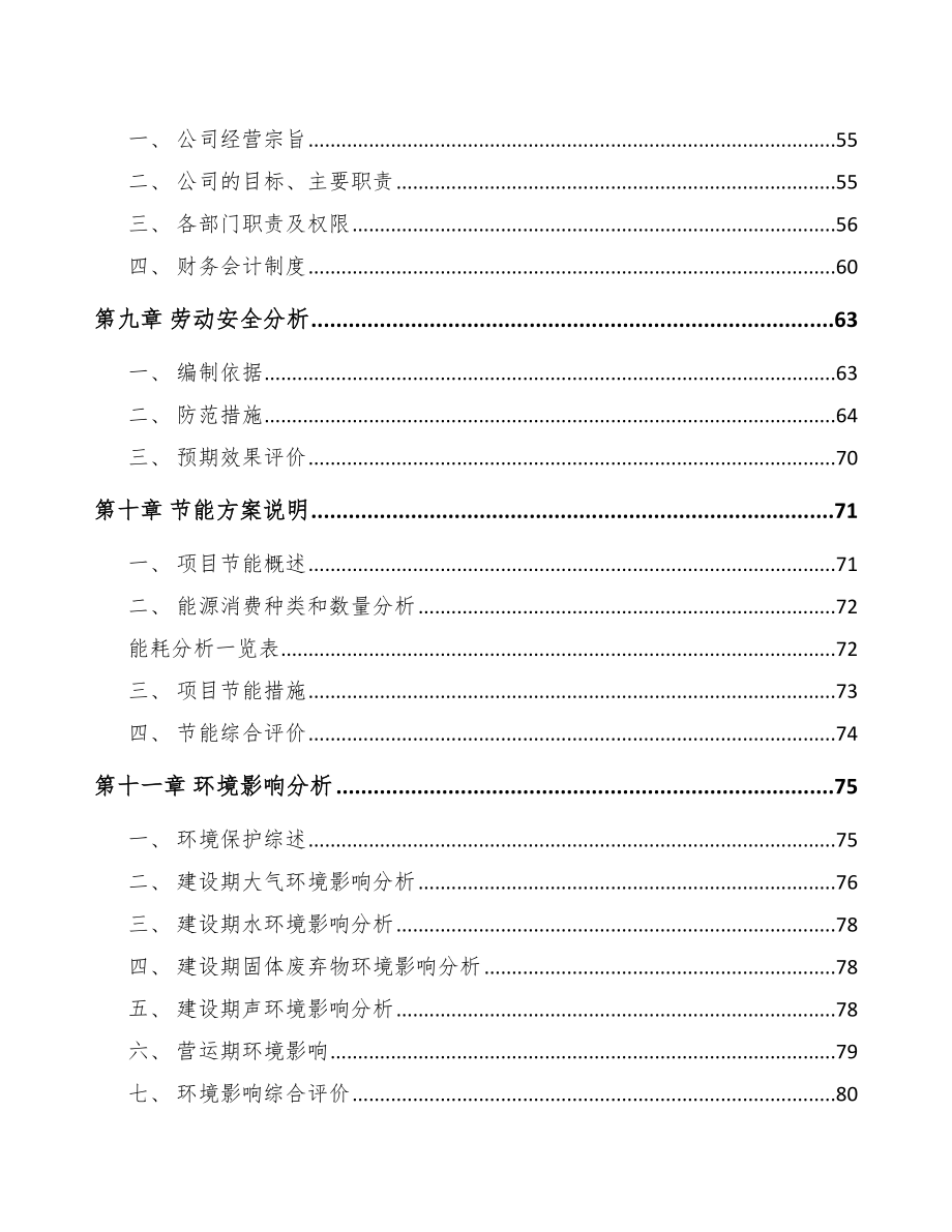 嘉峪关市户外服装项目可行性研究报告.docx_第3页