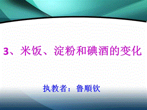 3.米饭、淀粉和碘酒的变化.ppt