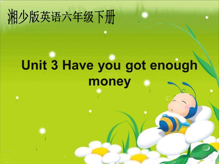 湘少版六下Unit3Haveyougotenoughmoney.ppt_第1页