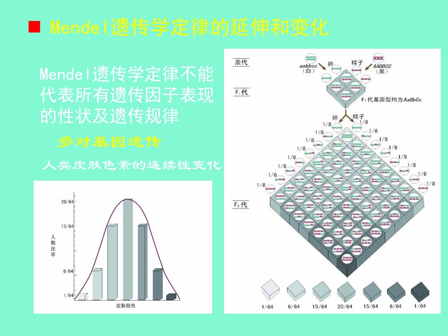 现代生物学导论细胞繁殖和遗传.ppt_第3页