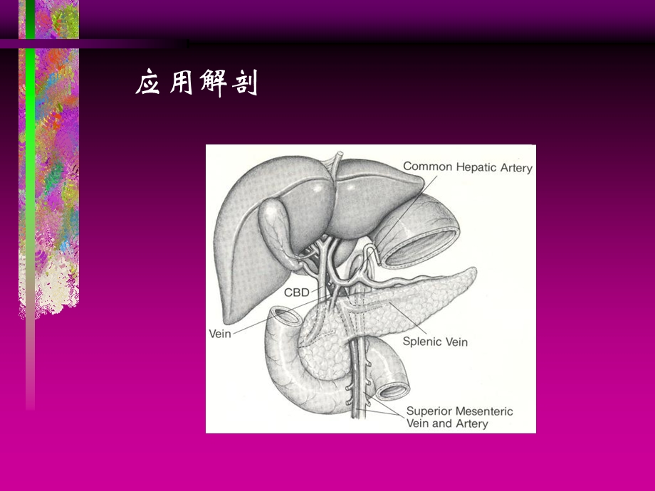 胆管损伤的诊断和治疗.ppt_第2页