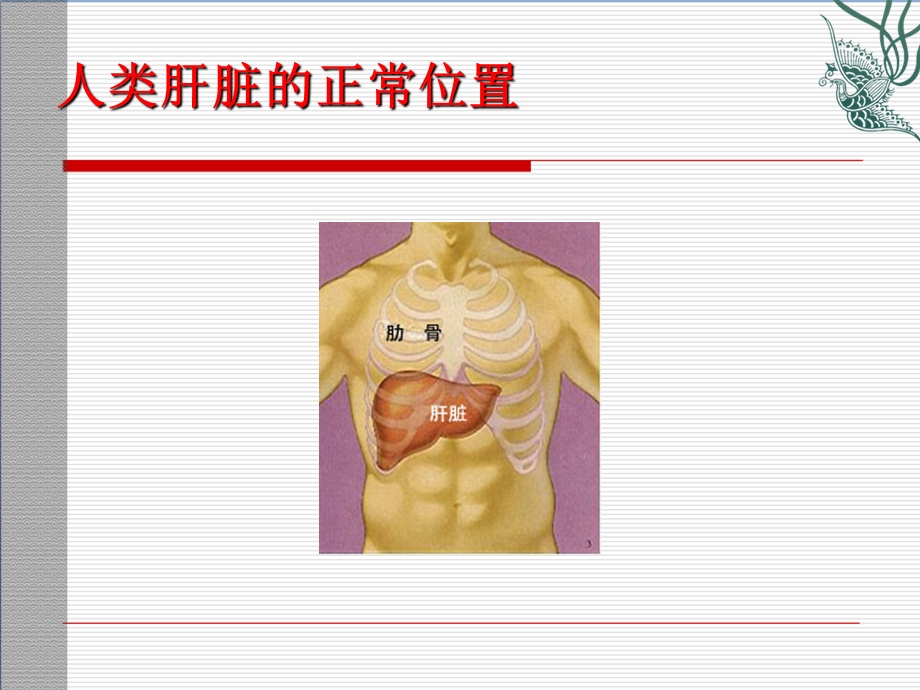 脂肪肝健康教育资料.ppt_第2页